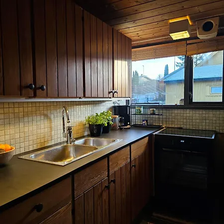Unique Atrium House By Mjosa And Center Semesterbostad Hamar (Hedmark)