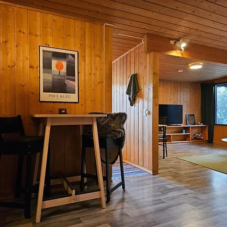 Unique Atrium House By Mjosa And Center Semesterbostad